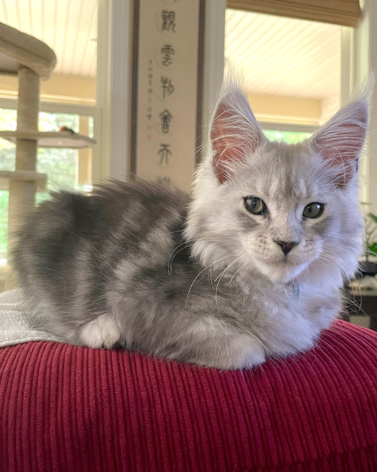 A loaf that's not for sale