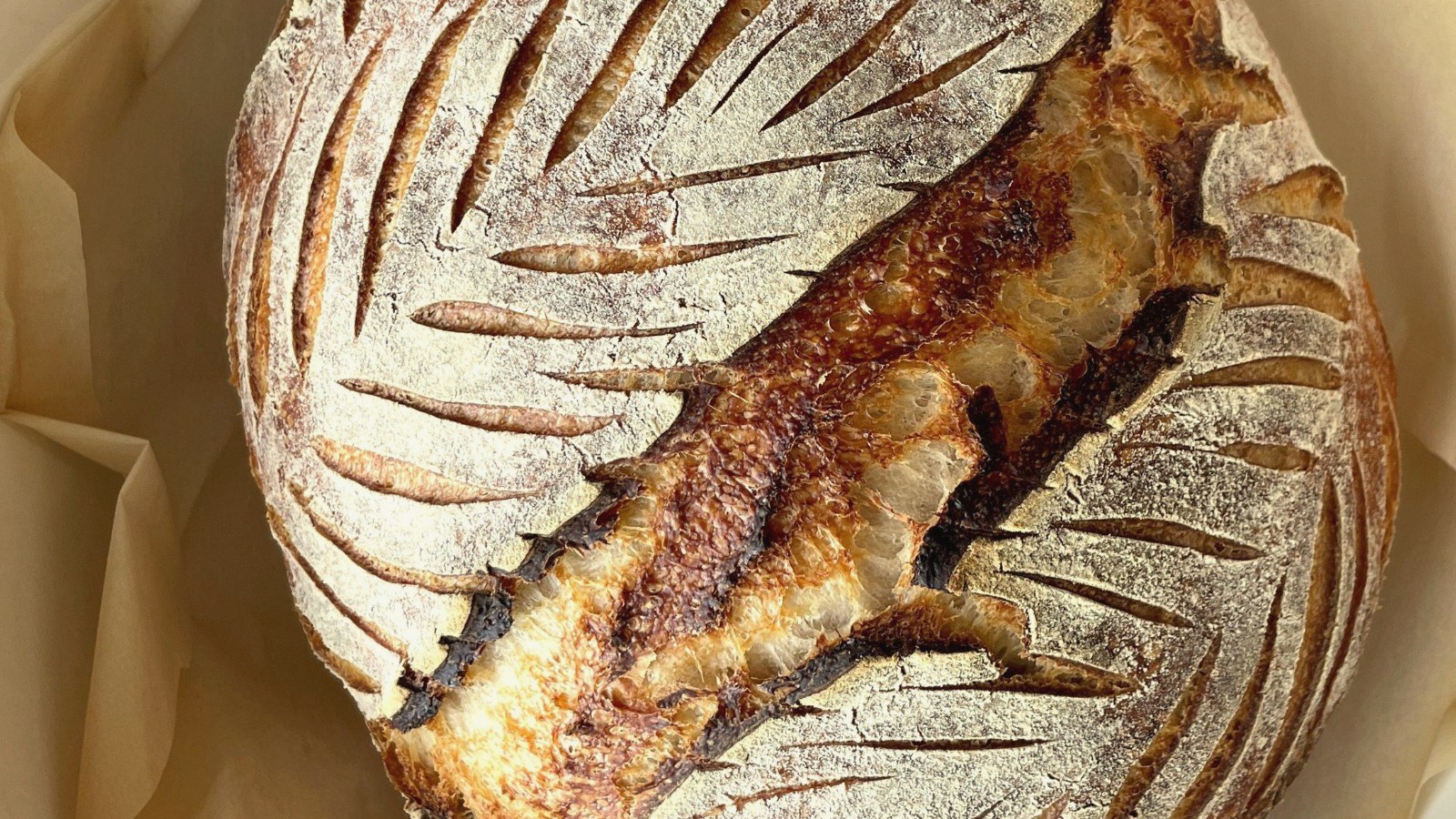 Sourdough loaf with a diagonal double leaf score